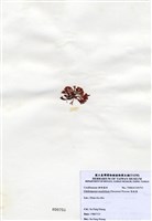 藏品(唇孢藻)的圖片